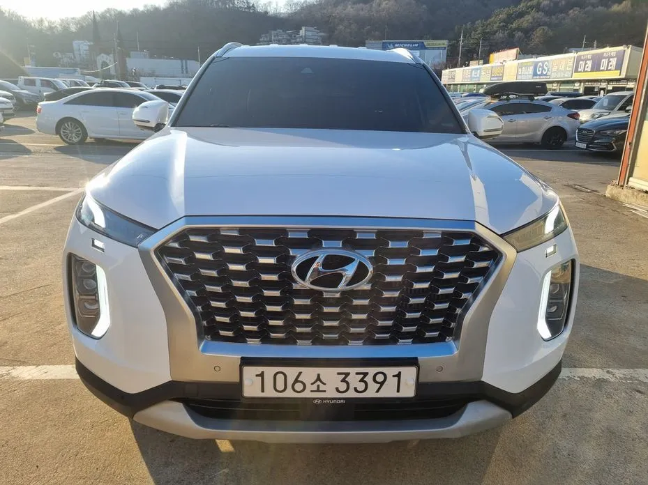Hyundai Palisade — фото 8