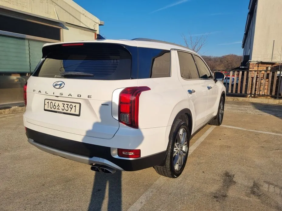 Hyundai Palisade — фото 6