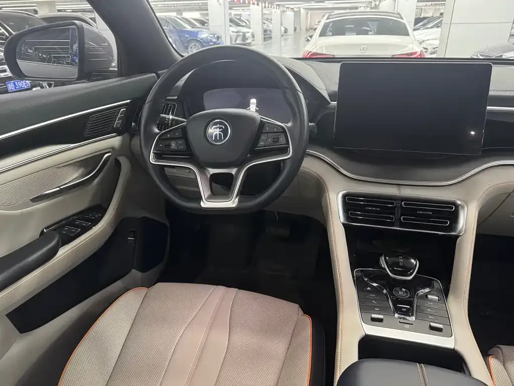 BYD PLUS New Energy — фото 10