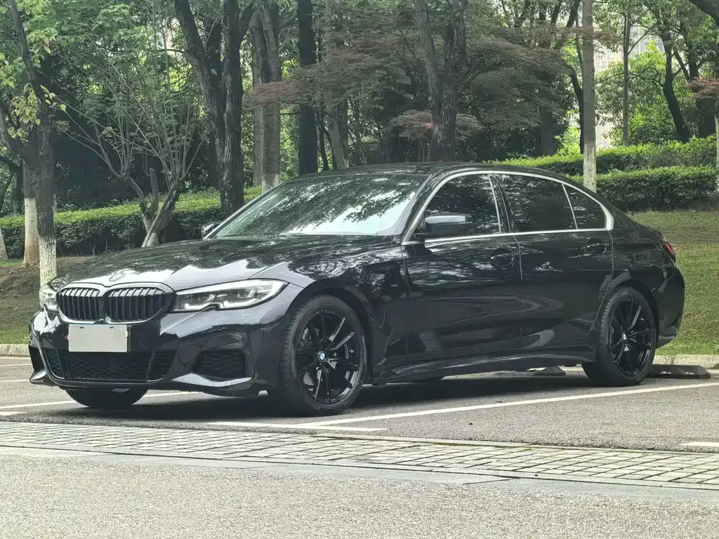 BMW 3 Series — фото 1