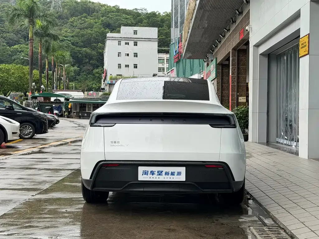 Tesla Model Y — фото 10