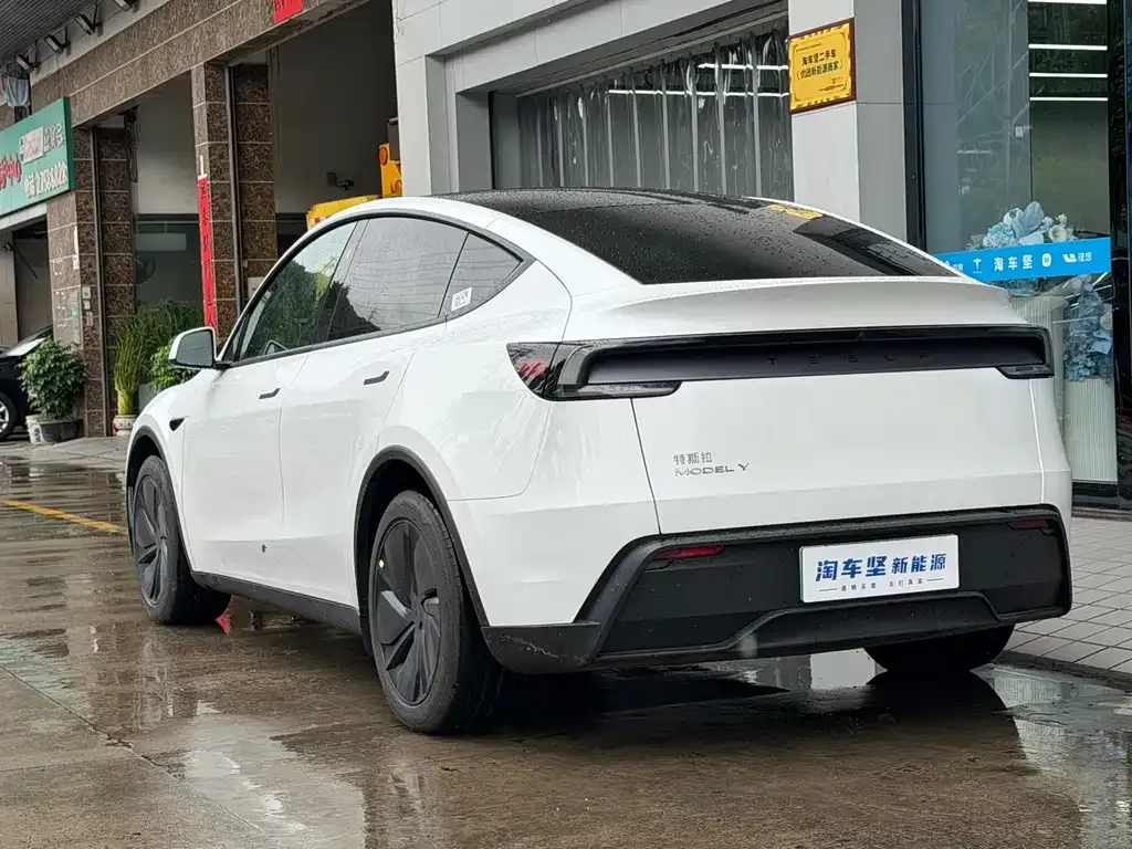Tesla Model Y — фото 8
