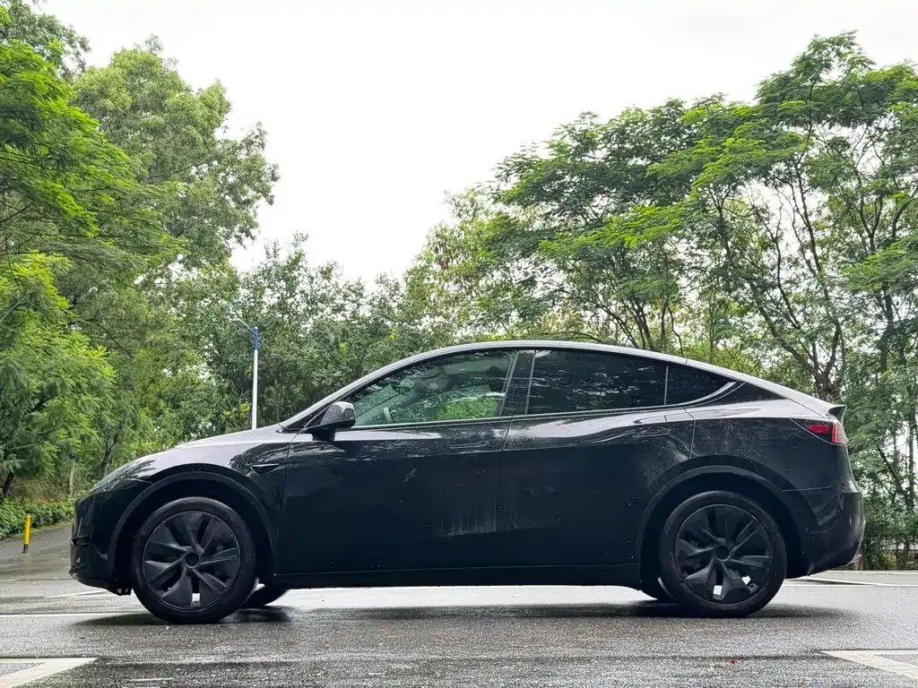 Tesla Model Y — фото 10