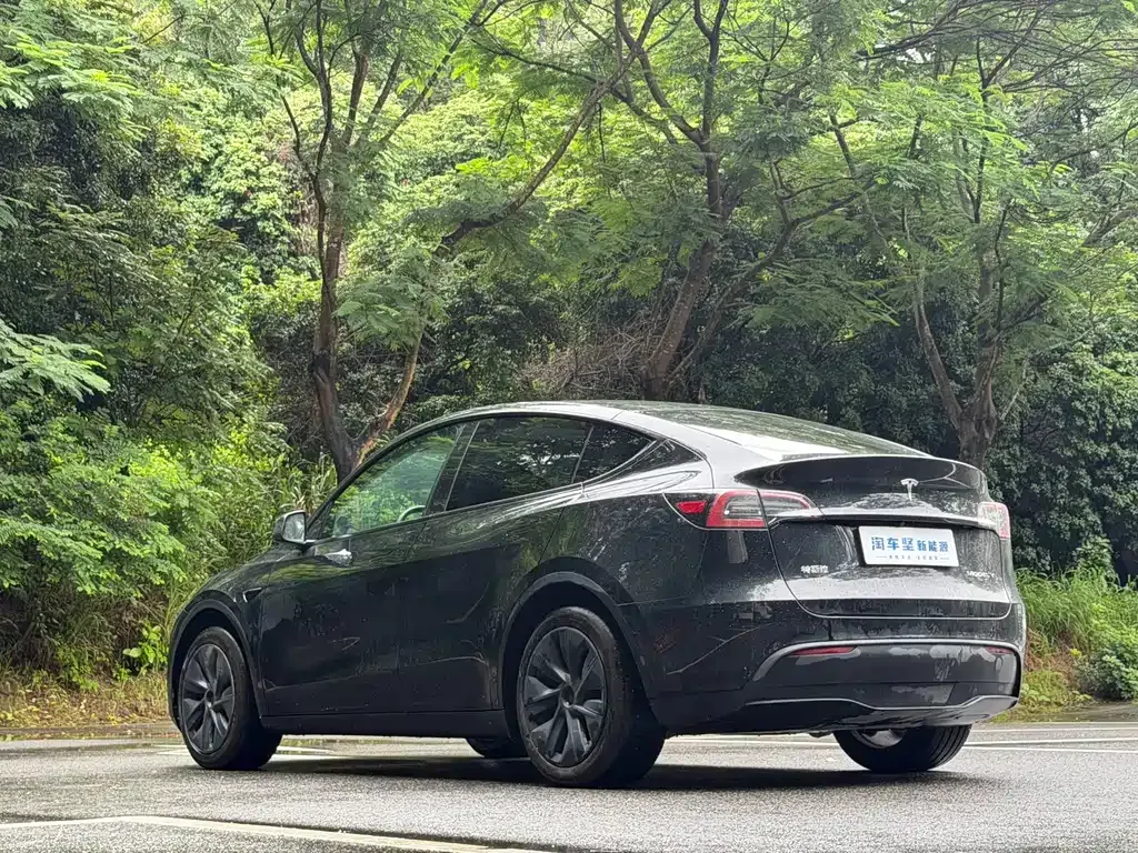 Tesla Model Y — фото 8