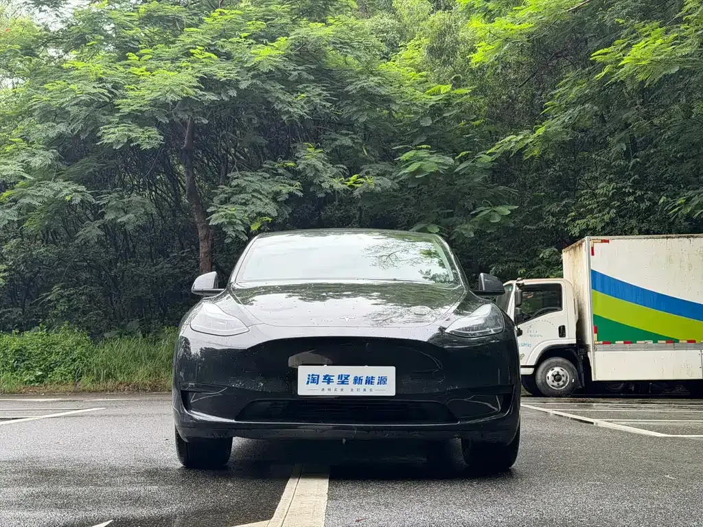 Tesla Model Y — фото 6