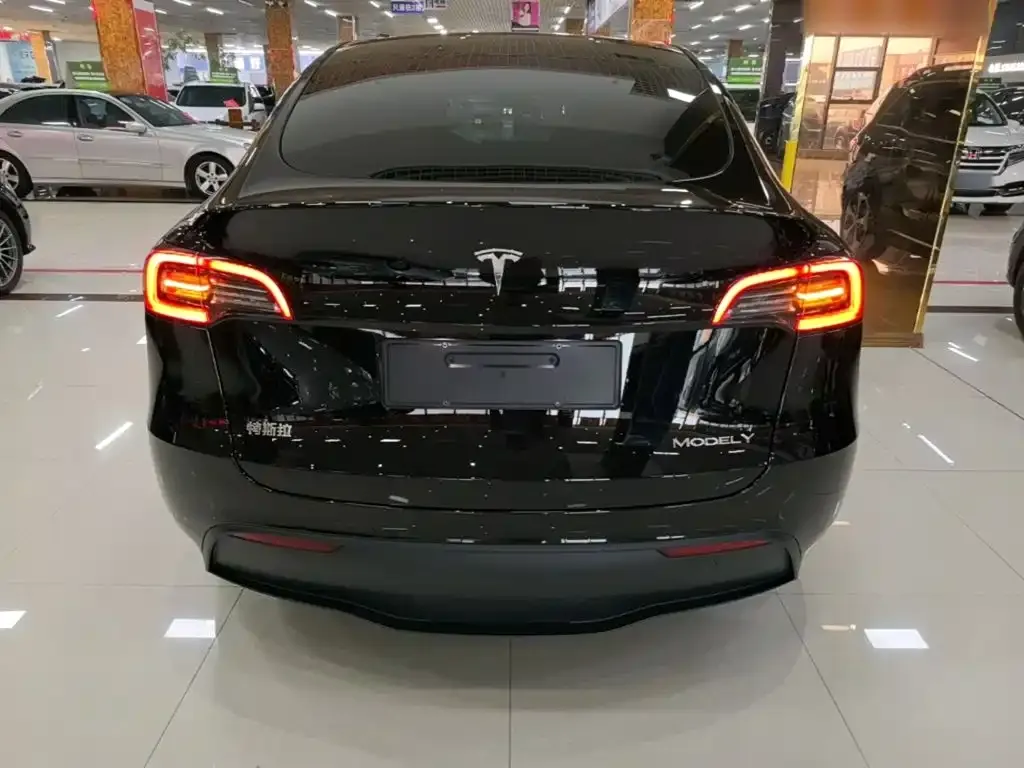 Tesla Model Y — фото 3