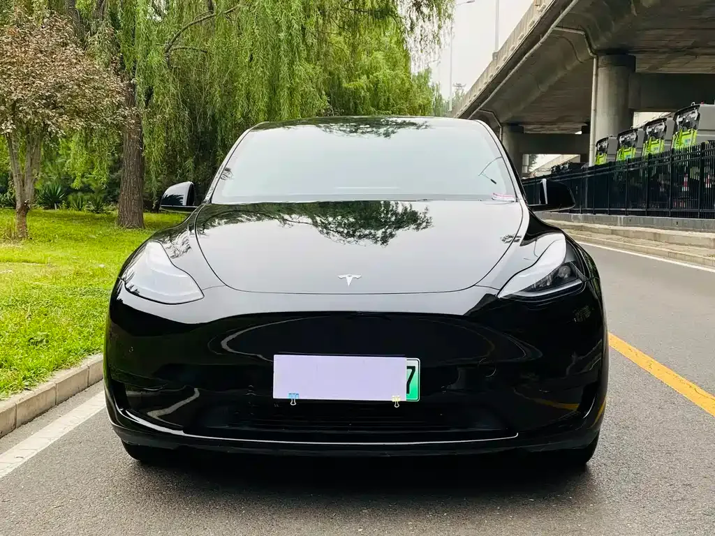 Tesla Model Y — фото 6