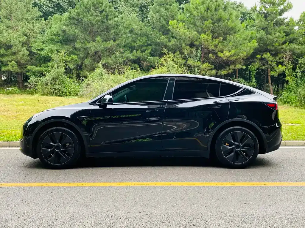 Tesla Model Y — фото 7
