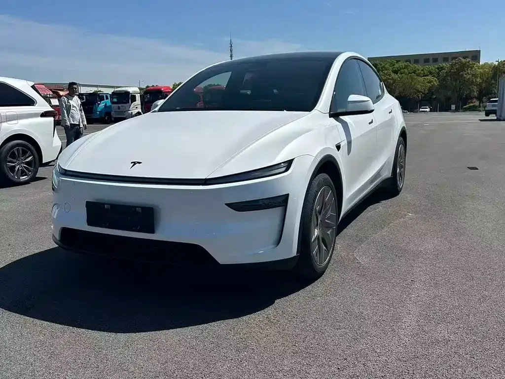 Tesla Model Y — фото 10