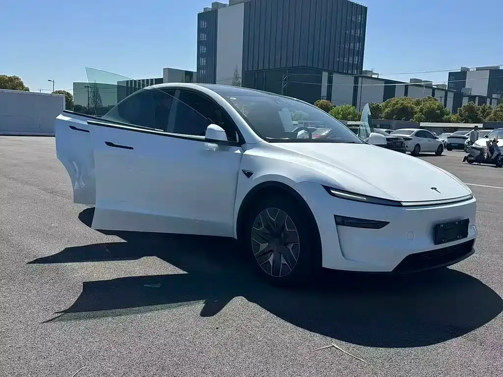 Tesla Model Y — фото 9