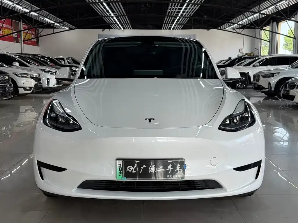 Tesla Model Y — фото 8