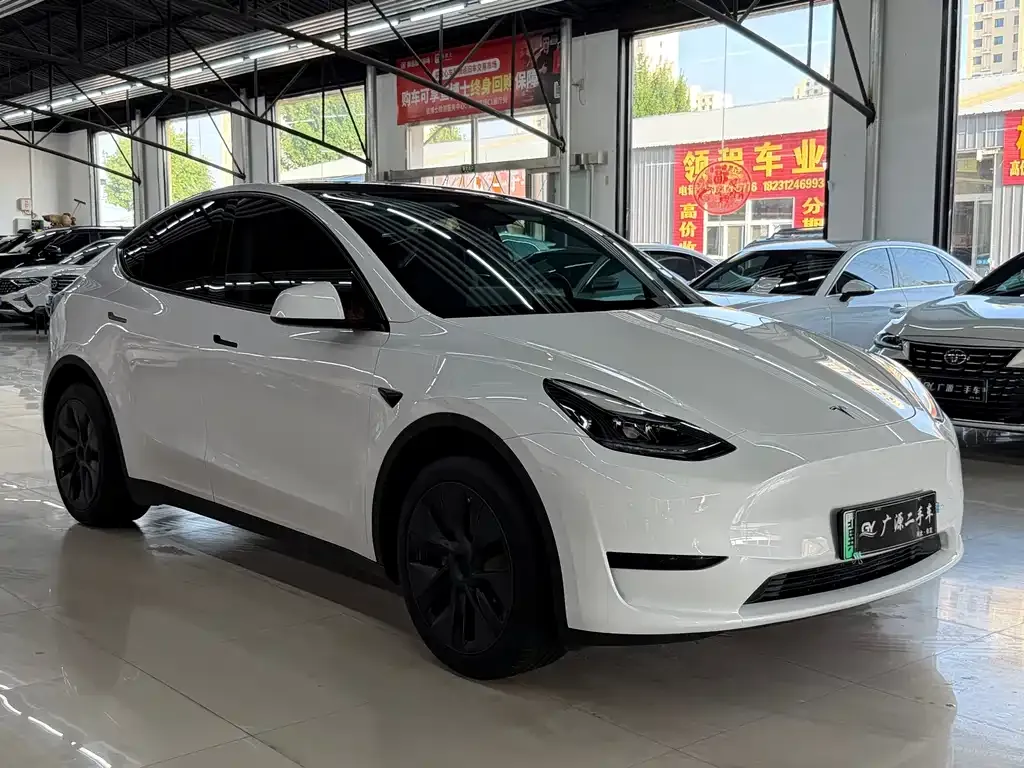 Tesla Model Y — фото 5