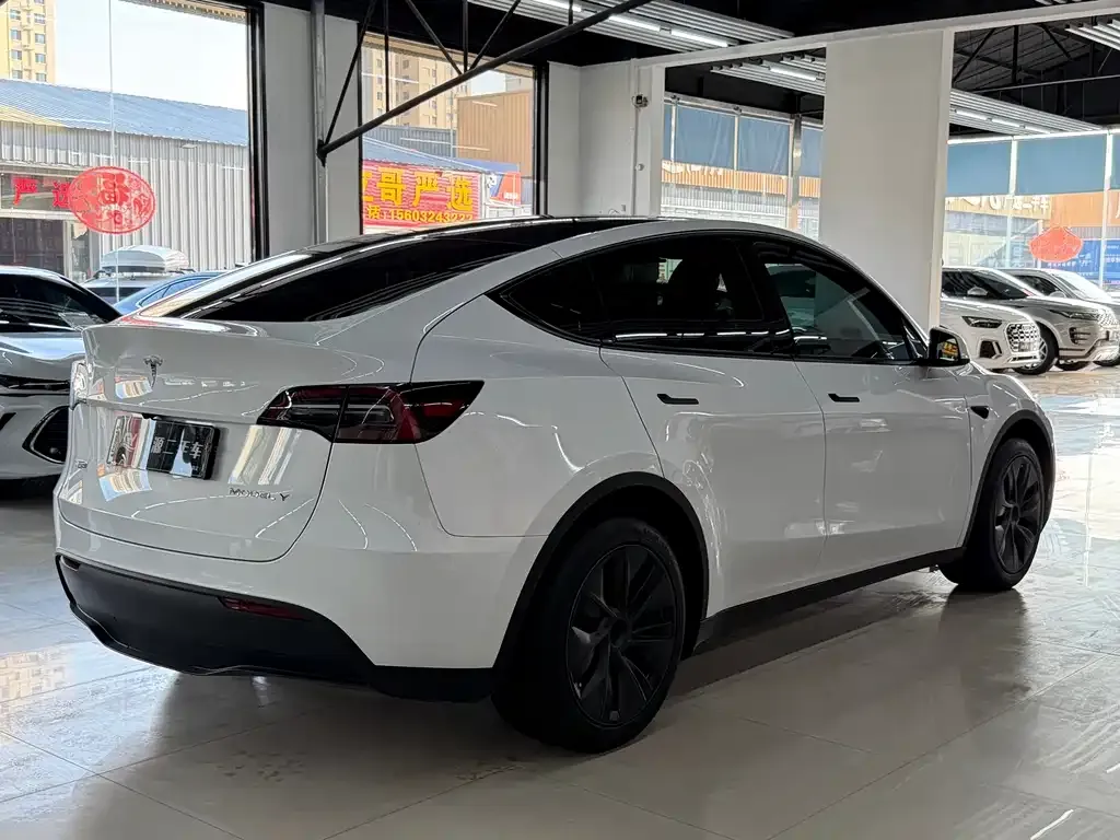 Tesla Model Y — фото 6