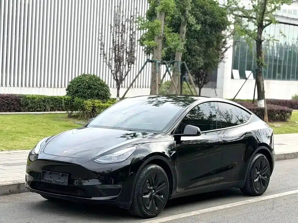 Tesla Model Y — фото 1