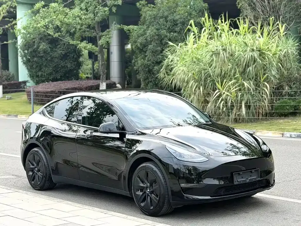 Tesla Model Y — фото 9
