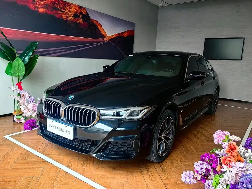 BMW 5 Series — фото 1
