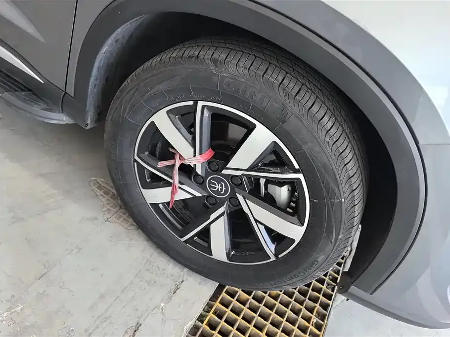 BYD Pro New Energy — фото 4