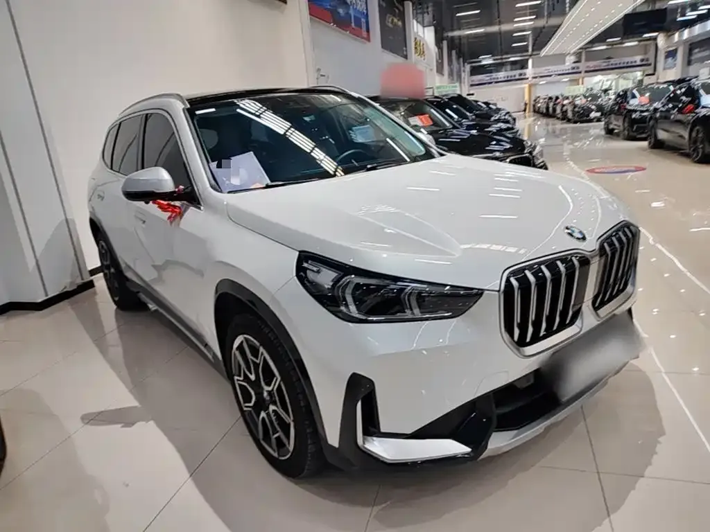 BMW X1 — фото 3
