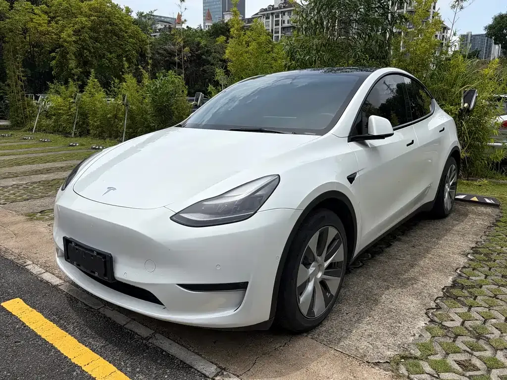 Tesla Model Y — фото 1