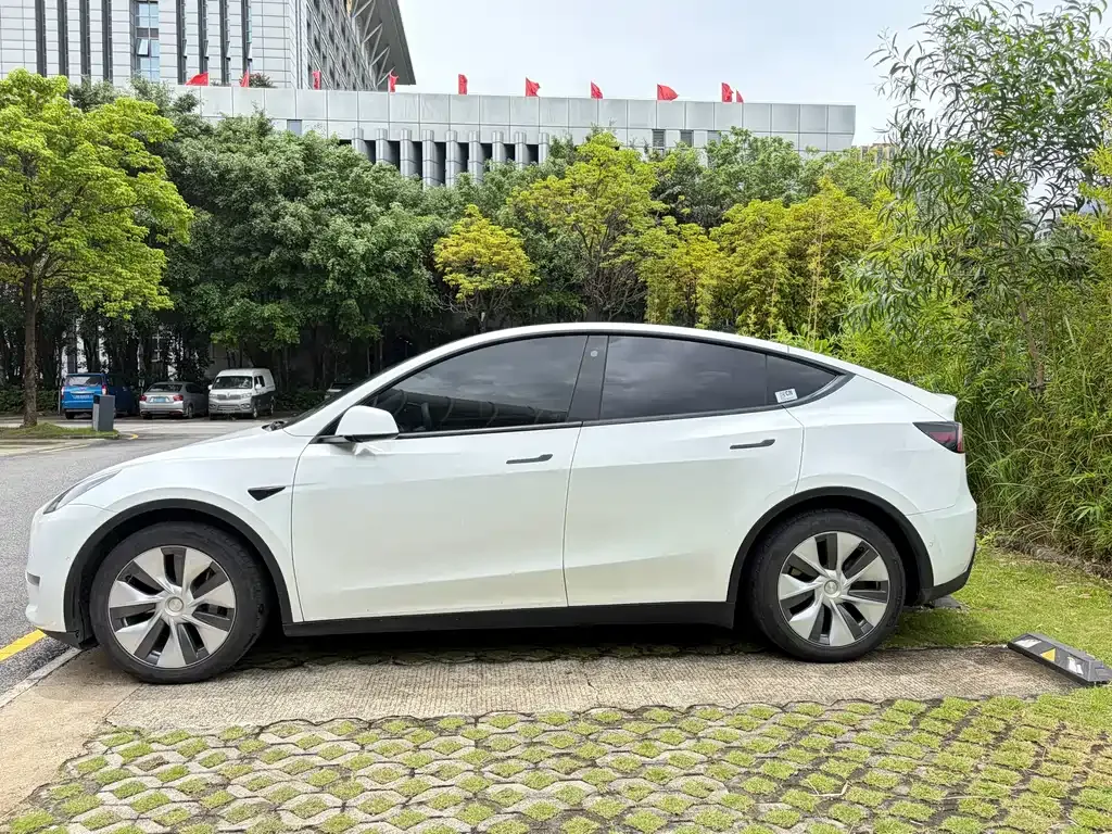 Tesla Model Y — фото 10