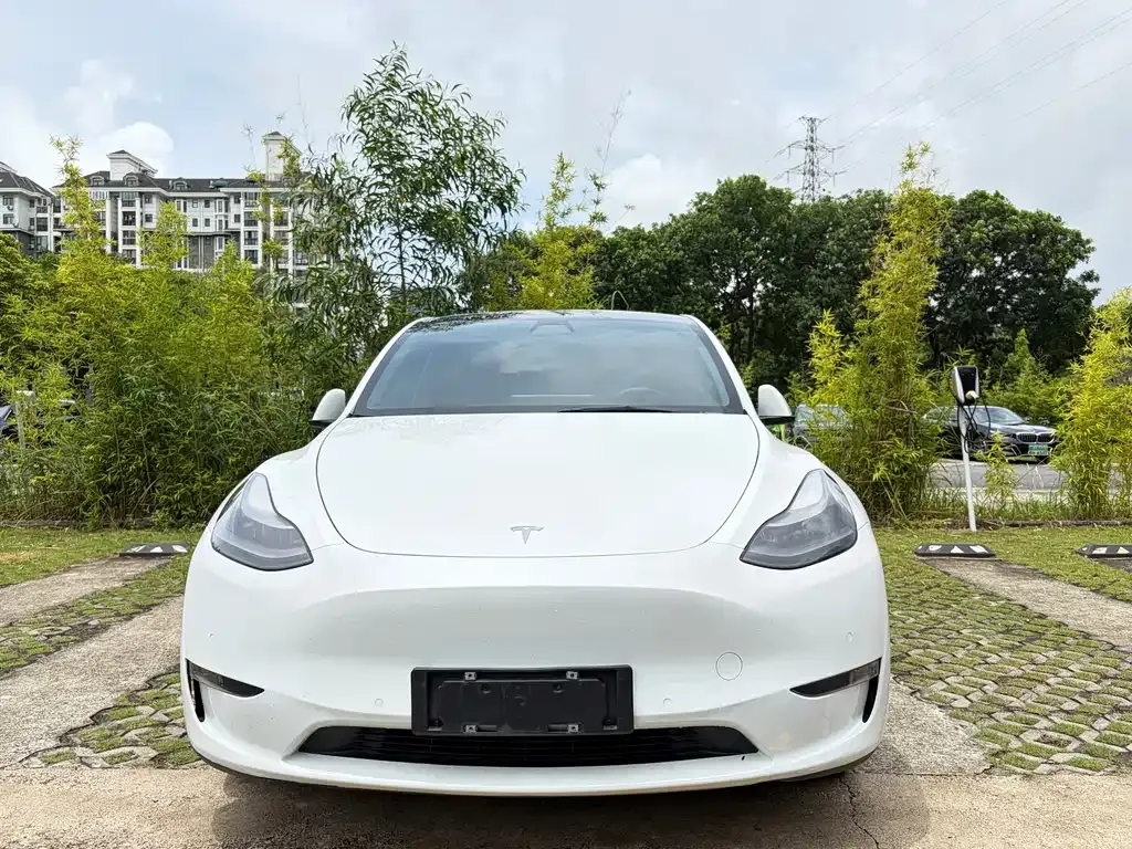 Tesla Model Y — фото 8