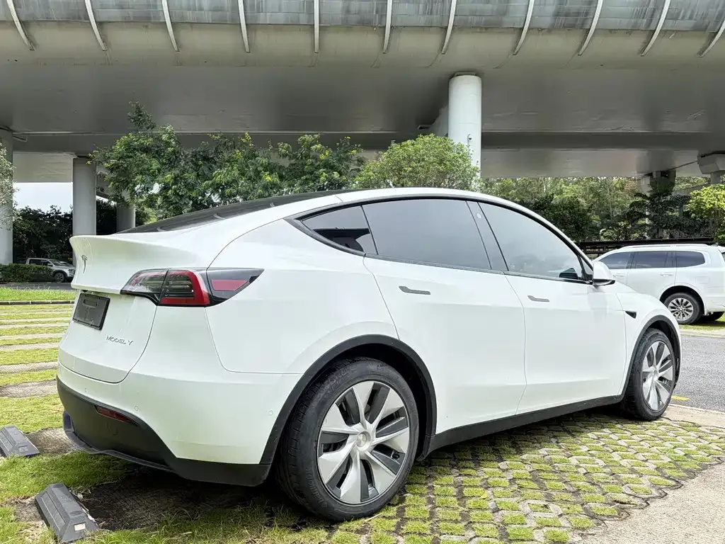 Tesla Model Y — фото 6
