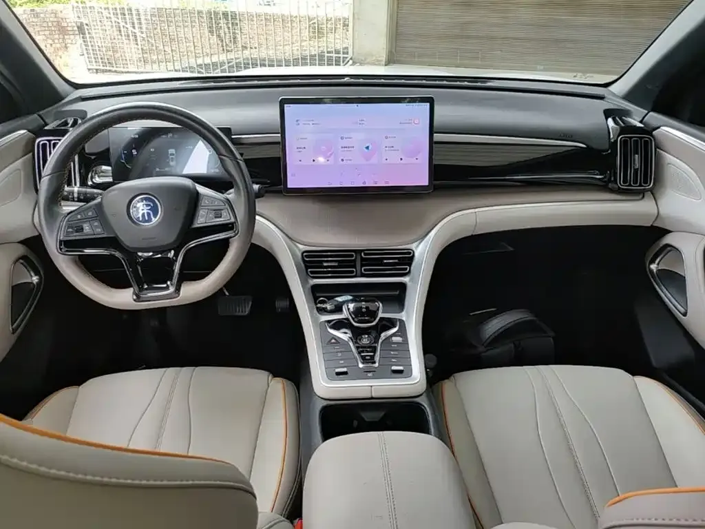 BYD Pro New Energy — фото 3