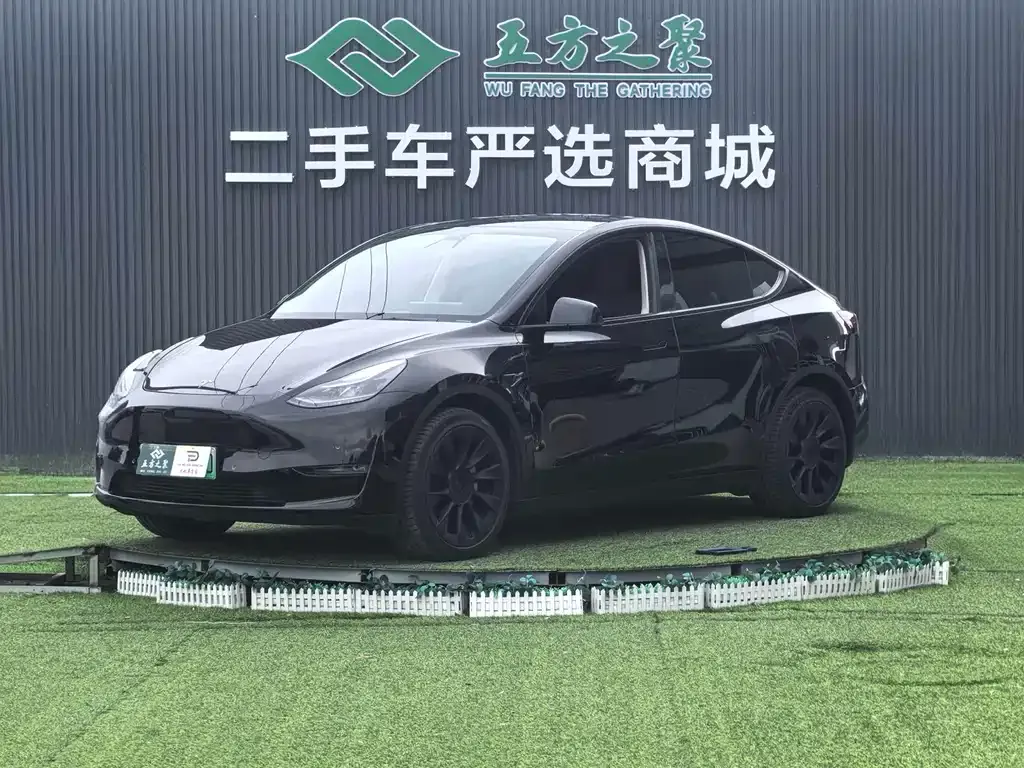 Tesla Model Y — фото 1