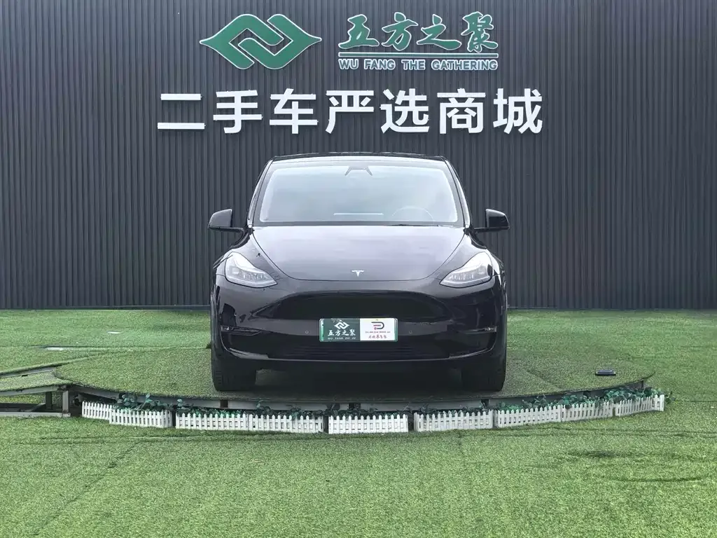 Tesla Model Y — фото 10