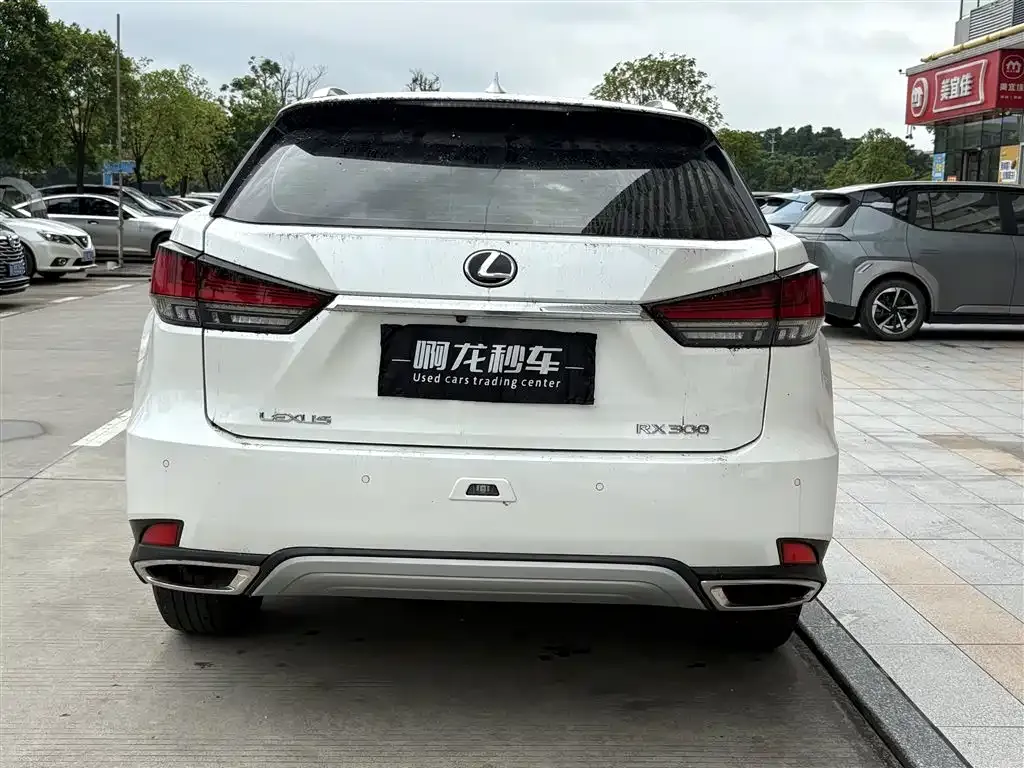 Lexus RX 2022 из CN, фото 4