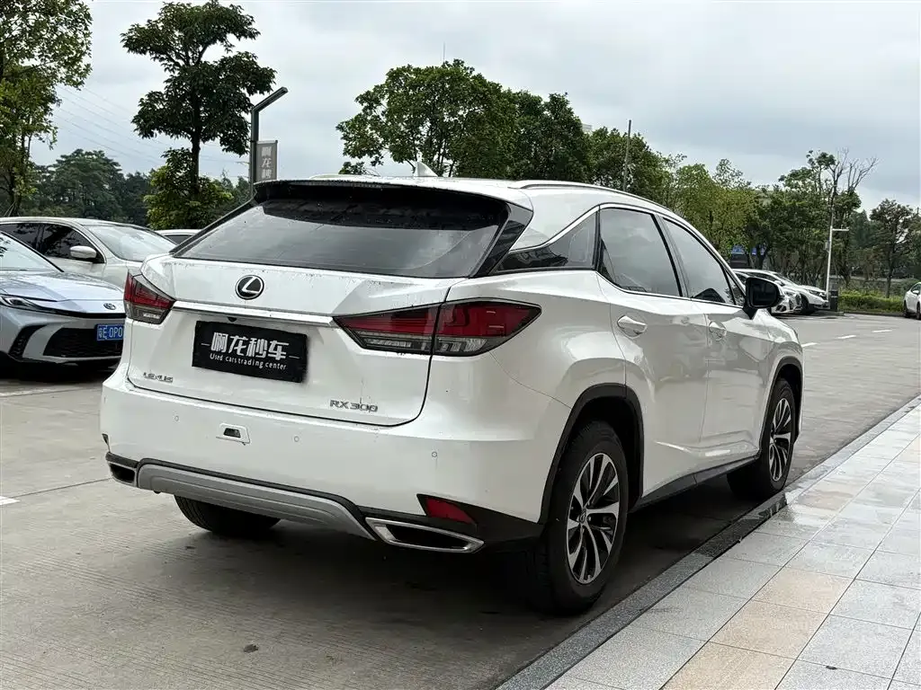 Lexus RX 2022 из CN, фото 7