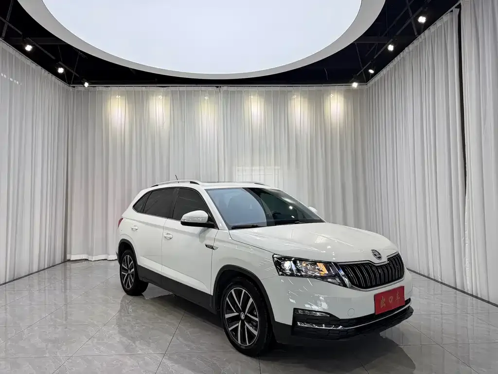Skoda Kamiq — фото 10