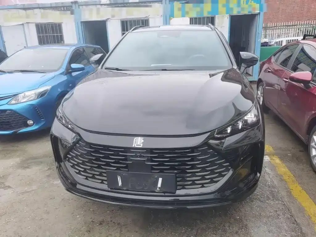 BYD Tang New Energy 2024 из CN, фото 8