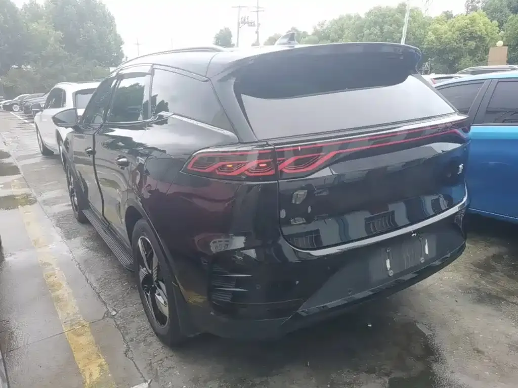 BYD Tang New Energy 2024 из CN, фото 9