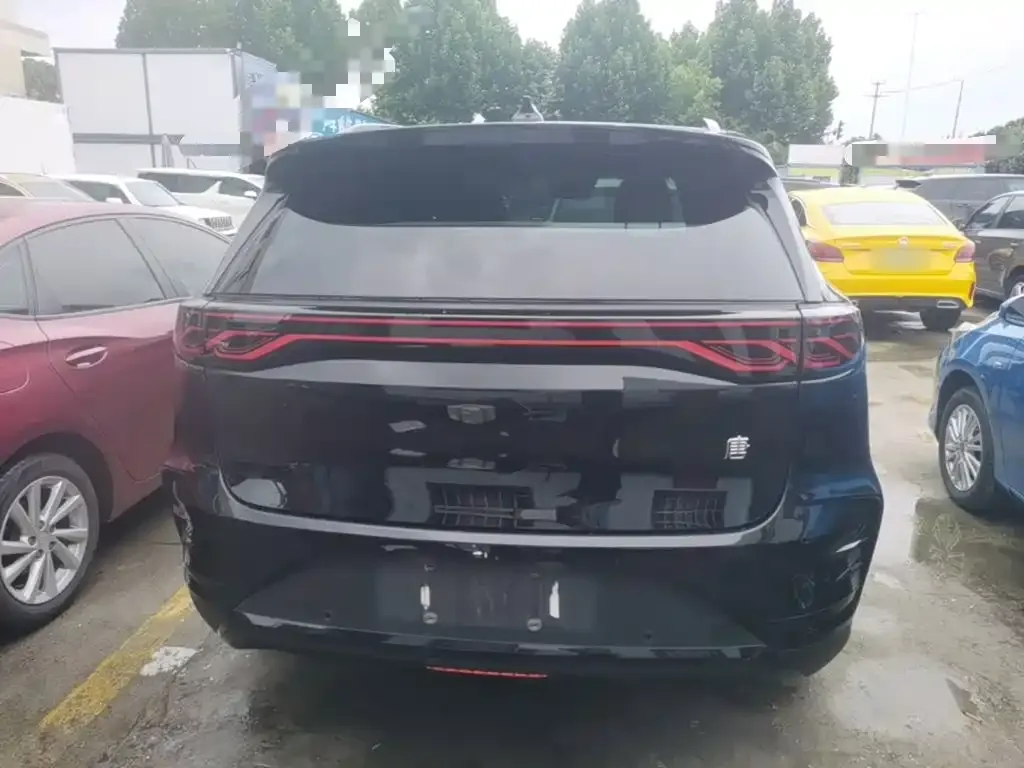 BYD Tang New Energy 2024 из CN, фото 3