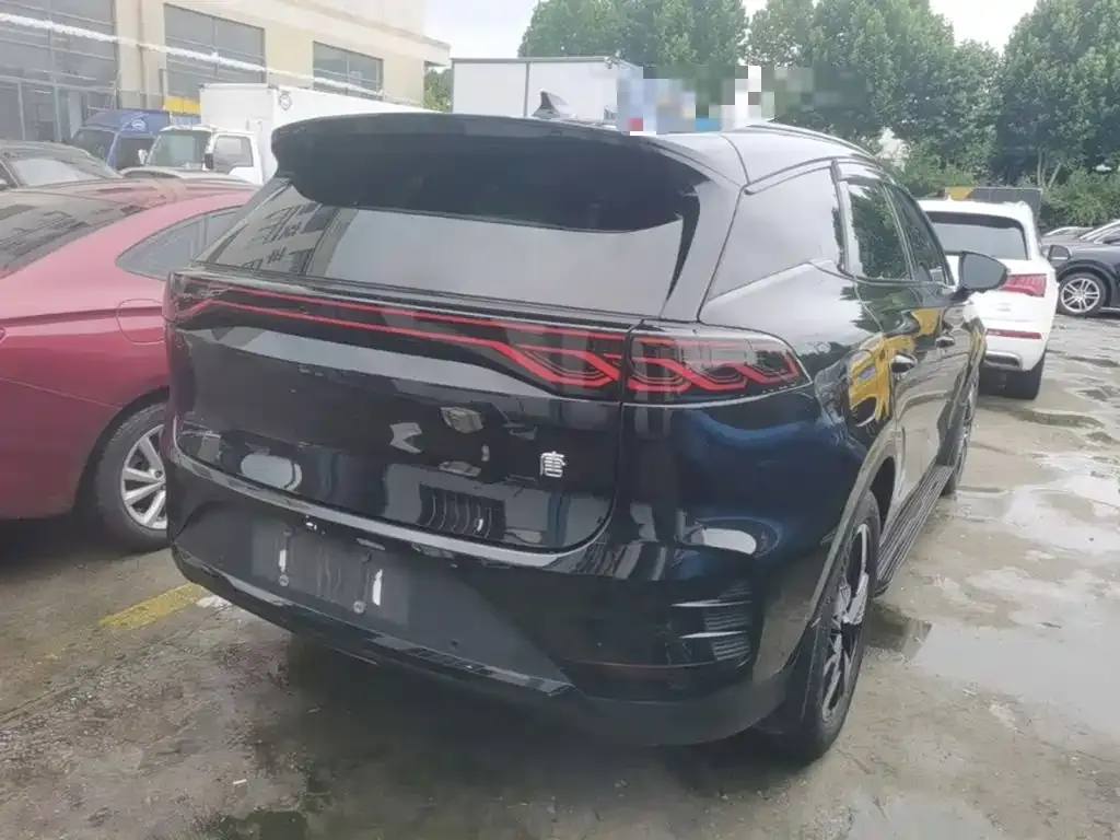 BYD Tang New Energy 2024 из CN, фото 10