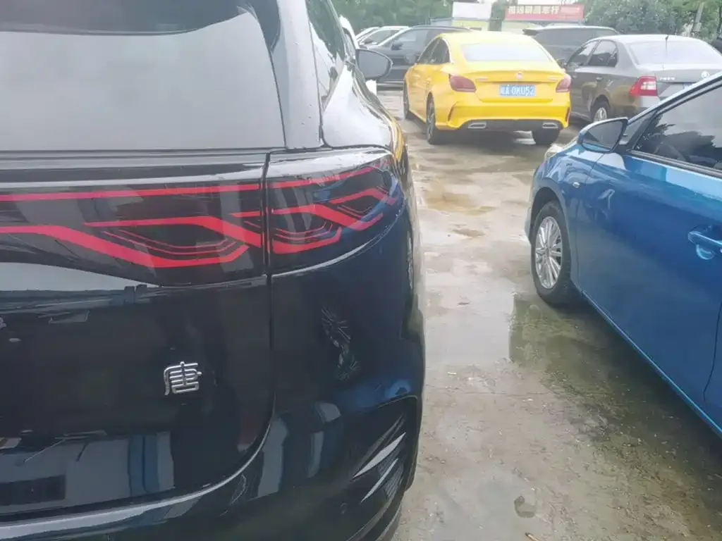 BYD Tang New Energy 2024 из CN, фото 2
