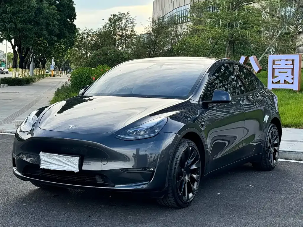 Tesla Model Y — фото 1