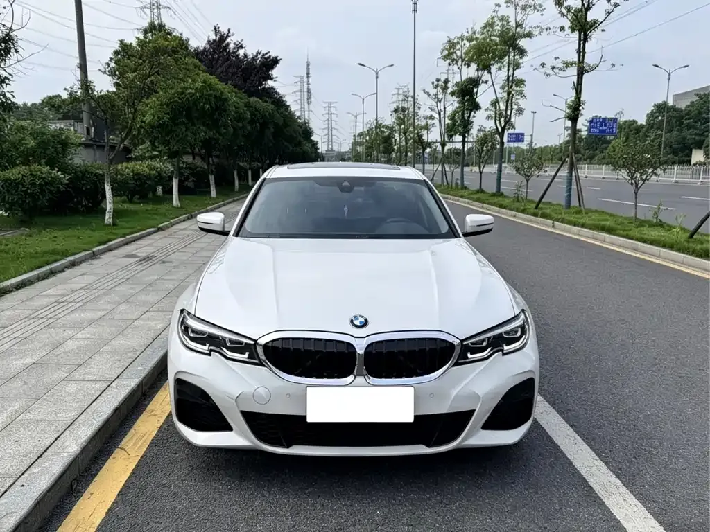 BMW 3 Series 2022 из CN, фото 6