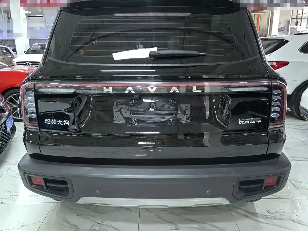 Haval Big Dog — фото 8