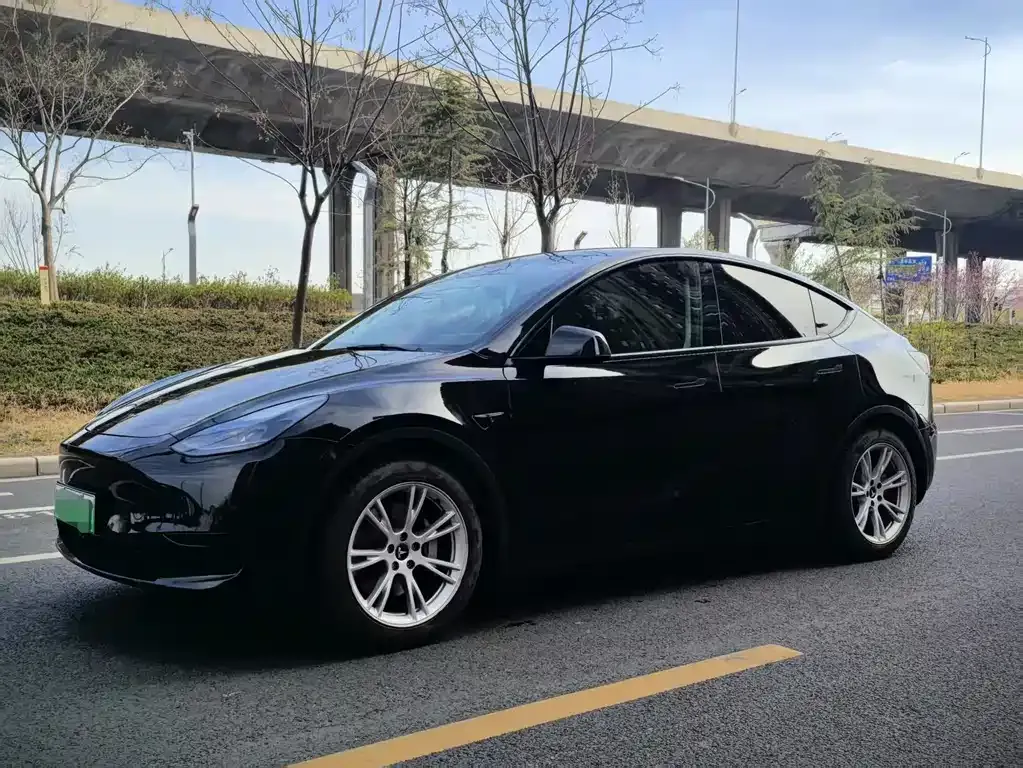 Tesla Model Y — фото 1