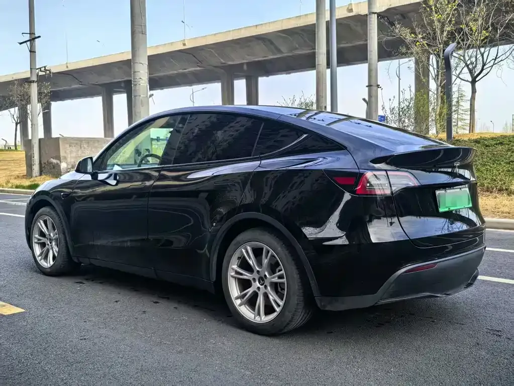 Tesla Model Y — фото 9