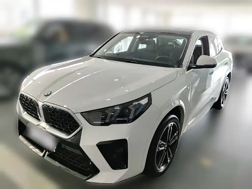 BMW X2 (Import) — фото 1