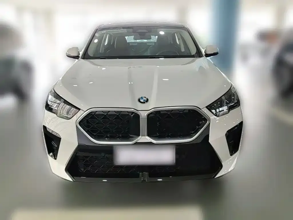BMW X2 (Import) — фото 8