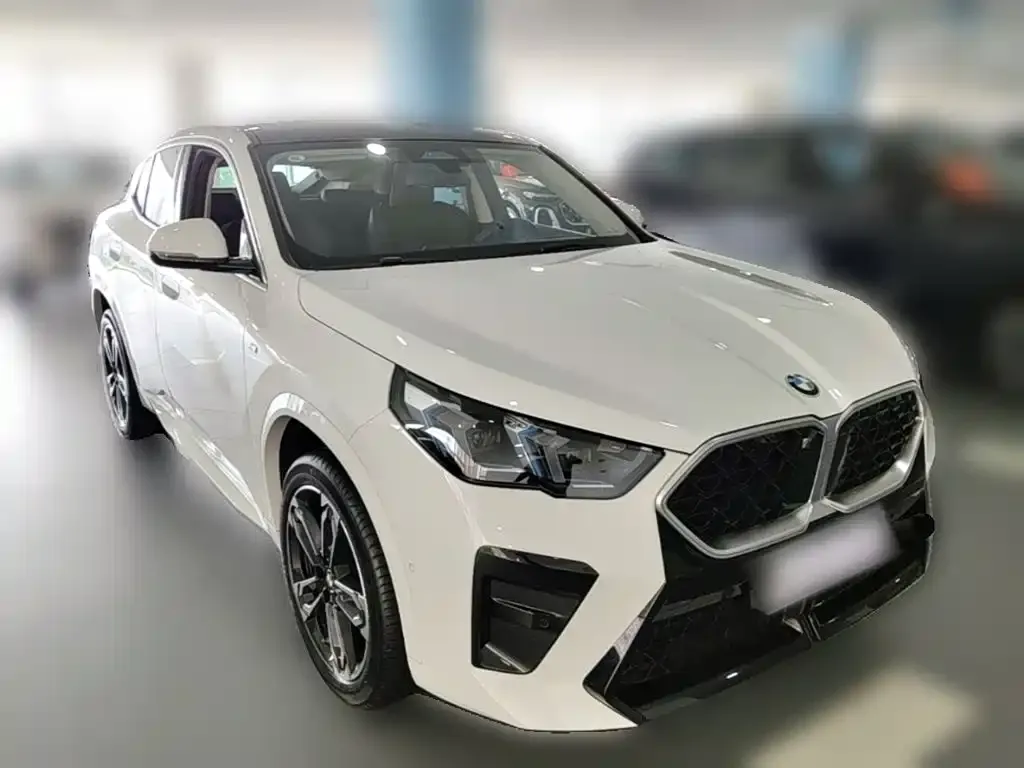 BMW X2 (Import) — фото 5