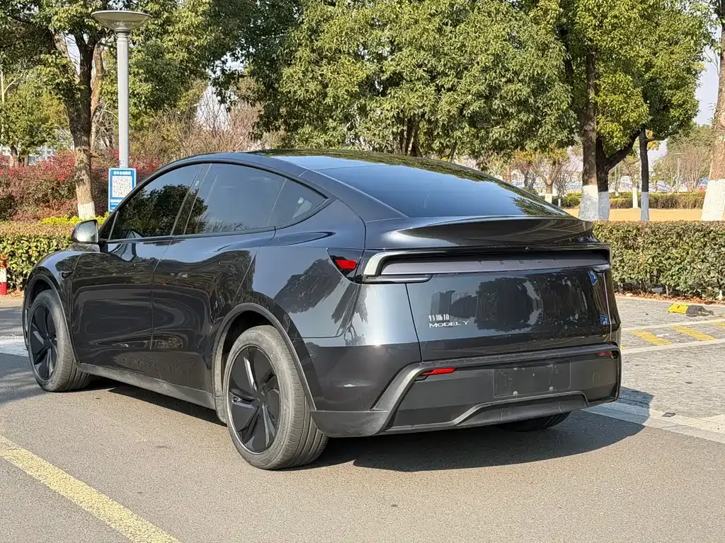 Tesla Model Y — фото 10