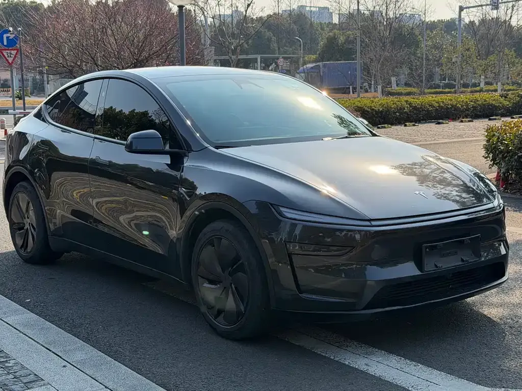 Tesla Model Y — фото 5