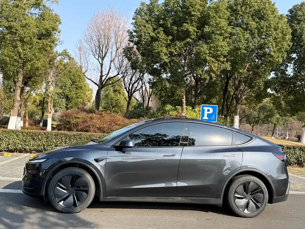 Tesla Model Y — фото 9
