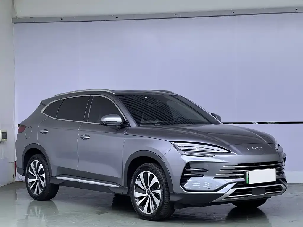 BYD PLUS New Energy 2024 из CN, фото 3