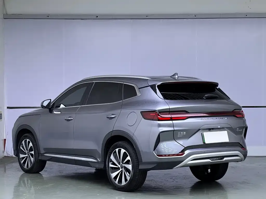 BYD PLUS New Energy 2024 из CN, фото 2